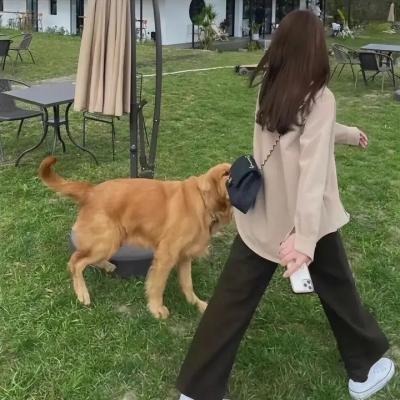 安迪的垃圾